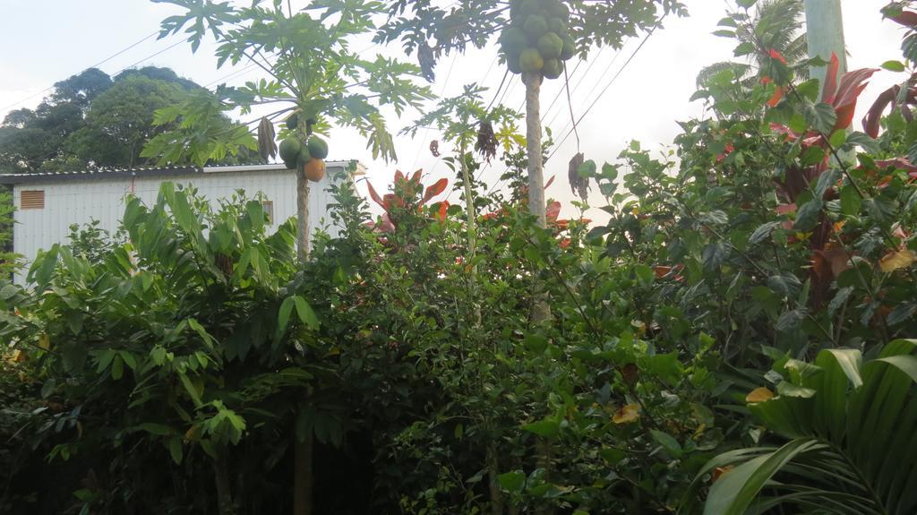 Dayspring Lodge Nukualofa Exterior foto