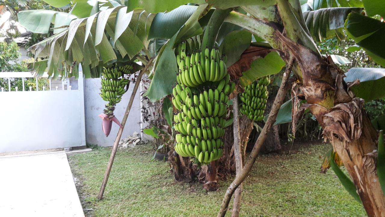 Dayspring Lodge Nukualofa Exterior foto